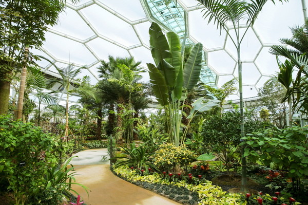 부천호수식물원 수피아는 온실 형태로  추운 겨울에도 따뜻하게 사계절 푸른 식물을 감상할 수 있다