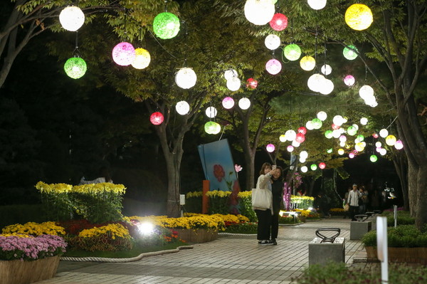 가을꽃 전시회 야경을 즐기며  시민들이 사진을 찍고 있다